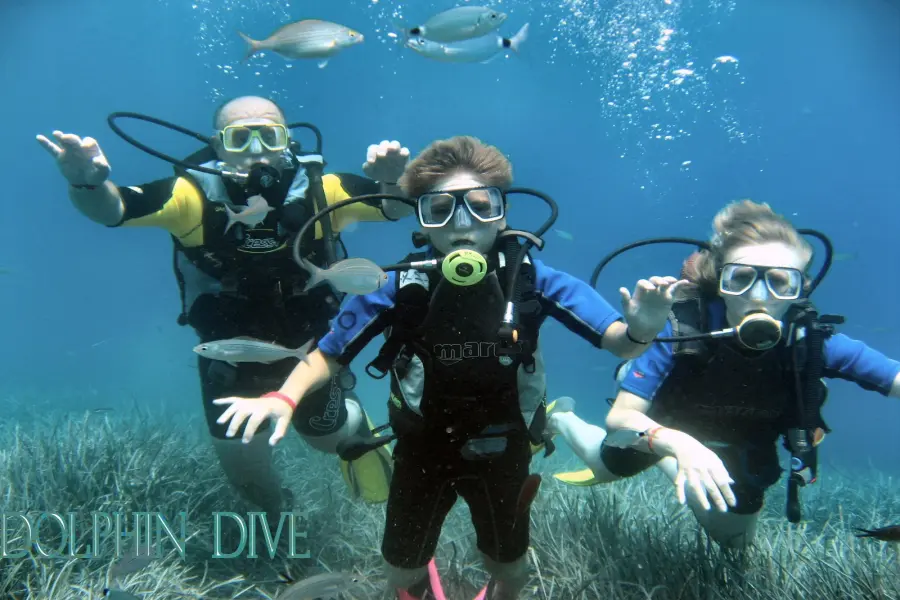 DIVING TOUR